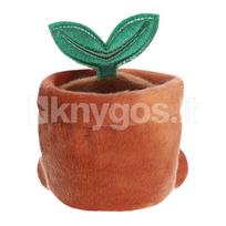 AURORA PALM PALS Pliušinis augalas vazonėlyje, 11 cm