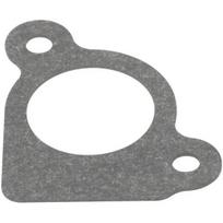 Karbiuratoriaus tarpinė Briggs & Stratton 794306