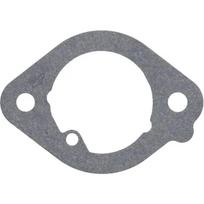 Karbiuratoriaus tarpinė Briggs & Stratton 594203WM