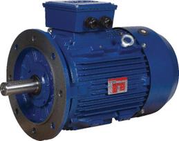Trifazis elektros variklis su flanšu B5 1.1 kW 2 poliai (3000 aps./min.) IE3 EM80B2B5300IE3AKR