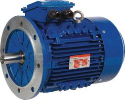 Trifazis elektros variklis su flanšu B5 1.1 kW 6 poliai (1000 aps./min.) EM90L6B5300IE3AKR