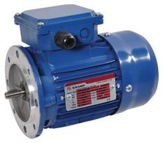 Trifazis elektros variklis su flanšu B5 0.09 kW 4 poliai (1500 aps./min.) EM56B4B5300IE1AKR