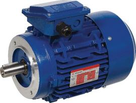 Trifazis elektros variklis su flanšu B14 3 kW 4 poliai (1500 aps./min.) EM100LB4B14300IE3A