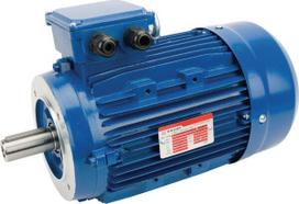 Trifazis elektros variklis su flanšu B14 3 kW 4 poliai (1500 aps./min.) EM100LB4B14500IE3A