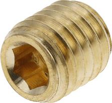 Droselinės sklendės varžtas M10 Ø 2.5mm SSM101225BR
