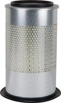 Oro filtras išorinis Fleetguard AF25302