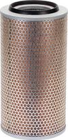 Oro filtras MANN-FILTER C203252