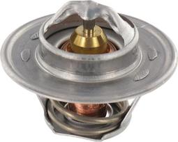 Termostatas Massey Ferguson V836015156