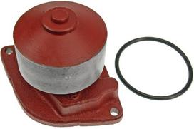 Vandens pompa Vapormatic VPE1060