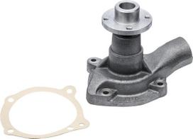 Vandens pompa 85004985KR