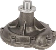 Vandens pompa 3132739R94KR