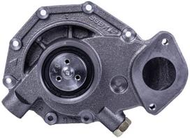 Vandens pompa 6005028988KR