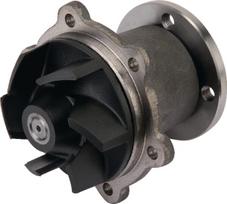 Vandens pompa 136399153KR