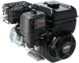 Benzininis variklis Briggs & Stratton 1062320272F1
