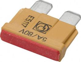 Automobilio saugiklis standartinis 80V, 5A, 19.7mm 10x Hella 8JS711683212