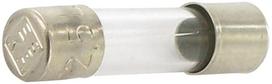 Saugiklis stiklinis 2.5A, 20mm 10x SI23512