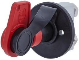 Masės išjungėjas 24V, 250A Hella 6EK002843131
