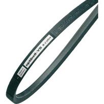Trapecinis diržas universalus B155 17x4019mm La, 17x3950mm Li
