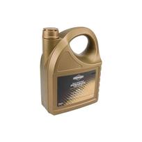 Briggs & Stratton sintetinis tepalas SAE 5W- 30 5 Litrų 100009S