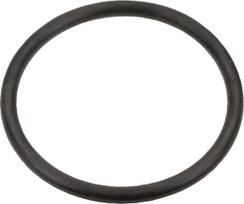 Dalis Case-IH technikai 3131661R1 O-ring Case IH