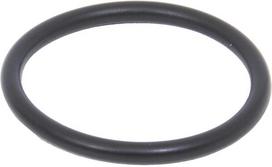 Dalis Case-IH technikai 14457980 O žiedas