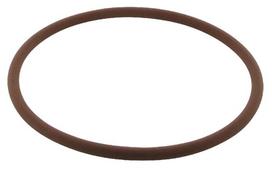 Dalis Case-IH technikai 3230854R1 O-ring galinės ašies stabdys