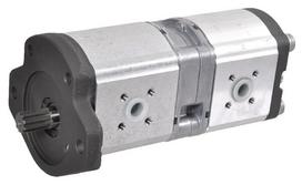 Dalis Case-IH technikai 132375101 Case dvigubas hidraulinis siurblys