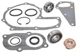 Dalis Case-IH technikai 162000060751 Vandens siurblio remonto komplektas CNH