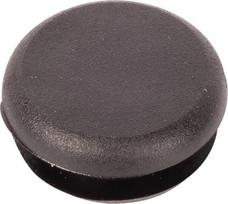 Dalis Case-IH technikai 82001910 Plug