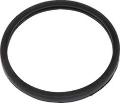 Dalis Case-IH technikai 504030960 Termostato tarpiklis CNH