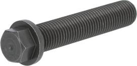 Dalis DEUTZ-FAHR technikai 04234117 Šešiakampis varžtas