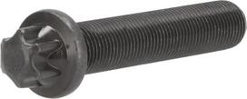 Dalis DEUTZ-FAHR technikai 04253406 Torx galvos varžtas