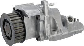 Dalis DEUTZ-FAHR technikai 04300573 Tepalų siurblys