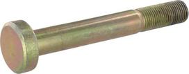 Dalis John Deere technikai L33894N Rato ratlankio varžtas M16x120 JD