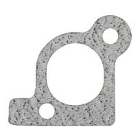 Oro įsiurbimo kolektoriaus tarpinė Briggs & Stratton 806418