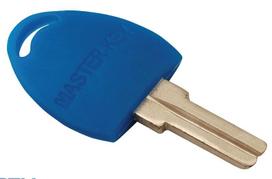 Visraktis spynelei 138