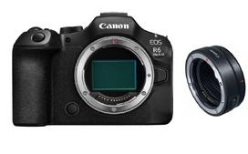 Canon EOS R6 Mark III + Adapter EF-EOS-R