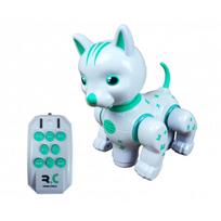 Interaktyvi Katė - Robotas su nuotoliniu valdymo pultu