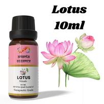 Ananta Lotoso Eterinis Aliejus 10 ml – Gėlių ir Vandenyno Aromato Aliejus Difuzoriams, Žvakėms ir Namų Kvapui volume - 10ml