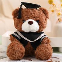 2025 baigimo meškiukas pliušinis žaislas daktaro meškiuko lėlė diplomo meškiuko lėlė baigimo suvenyras 23cm(100g)