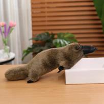 Naujas 1 vnt. Australijos gyvūnas Mielas Platypus pliušinis žaislas Emuliacinis Platypus antis Ornithorhynchus minkšti žaislai 30cm ruda
