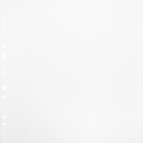 Focus Carton Refillsheets for Ringbinder Gigant White 10-pack
