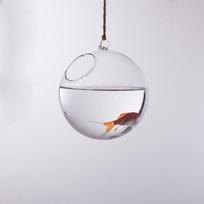 Transparent Ball Shape Glass Wall Hanging Flower Vase Plant Bottle Home Decor 10cm