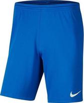 Šortai vyrams Nike BV6855 463, mėlyni