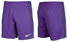 Šortai vyrams Nike Dry Park III NB K BV6855 547, violetiniai