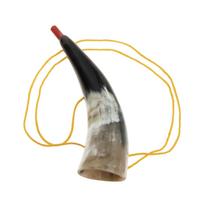 Ragas Trimitas Vikingas Žaislas S Žaislai Vaikai Vaikai Žaidimas Triukšmas Džiaugsmo instrumentas Triukšmo kūrėjas Vakarėlis Gėrimas Išpūtimas Gamta