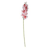 Orchidėja GĖLĖ H94cm, šviesiai rožinė