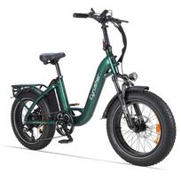Cyrusher Rumbe 2.0 Miesto elektrinis dviratis 20 colių storos padangos 250W variklis 48V18AH baterija Lauko važiavimas E-bike Unisex elektriniam dviračiui žalia
