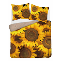 3D patalynės komplektas MAGIC SUNFLOWERS 200x220