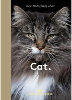 New Photography of the Cat.: The best new photography of cats.